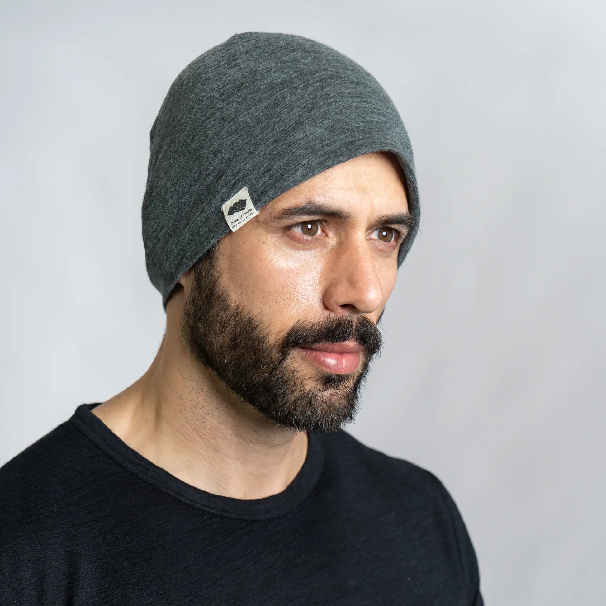 Alpaca Wool Beanie: 160 Ultralight color Gray